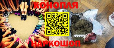 стафф Краснодар