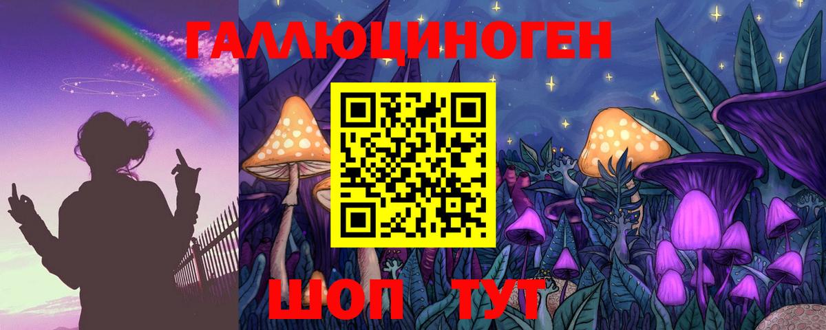 Галлюциногенные грибы GOLDEN TEACHER  Вход с VPN  даркнет сайт  Каменка 